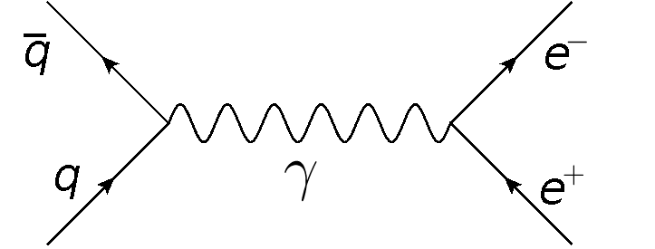Feynman Diagram